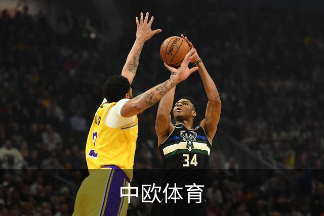 中欧体育公司简介
